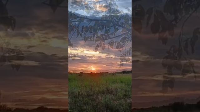 Приглашаю всех садоводов и огородников в телеграм кан смотреть онлайн