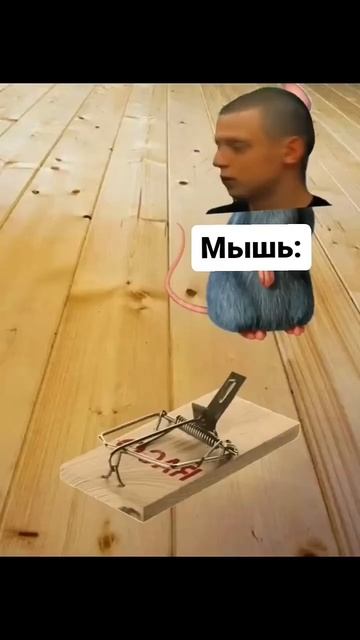 Мышь #мышь #мышеловка #детство #сыр #детство #мелстройв? смотреть онлайн