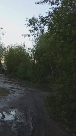лужи