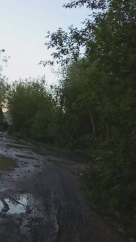 лужи
