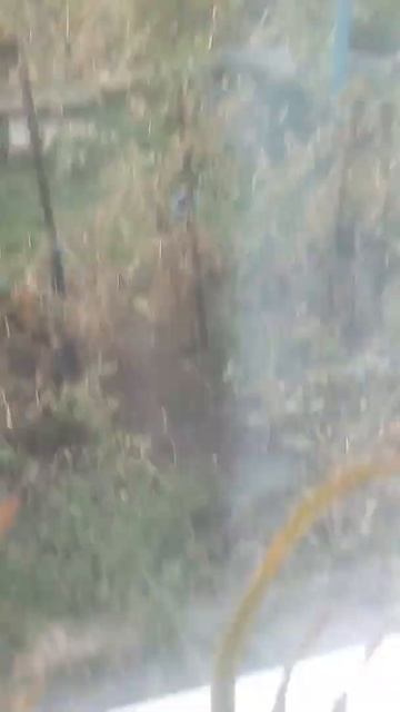 Прекрасный огород смотреть онлайн