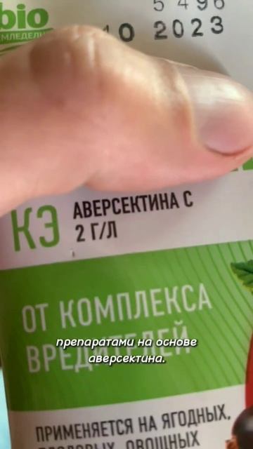 Как ухаживать за клубникой после сбора урожая? Ответ ? смотреть онлайн