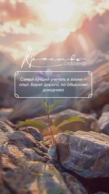 Хорошо сказано .