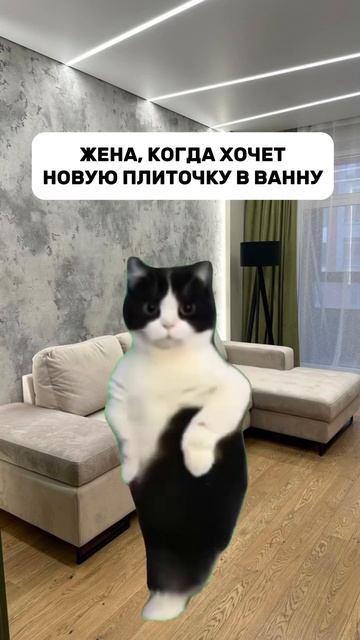 Строим дома и бани 🏠 смотреть онлайн