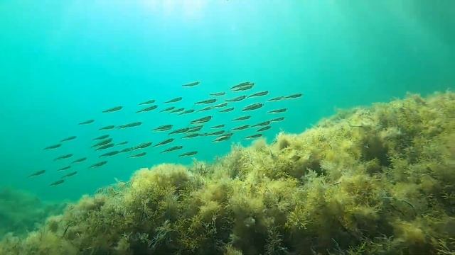 Грот смотреть онлайн