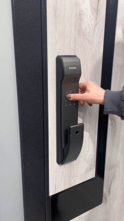Биометрический замок