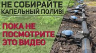 Капельный полив — секреты правильной сборки системы