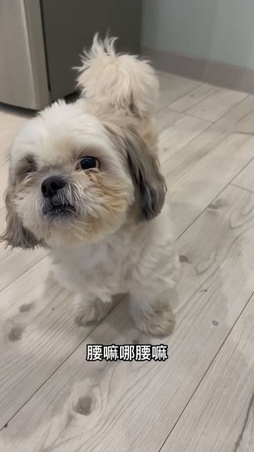 Проверка китайца на знание языка-все-таки беларус#шит? смотреть онлайн