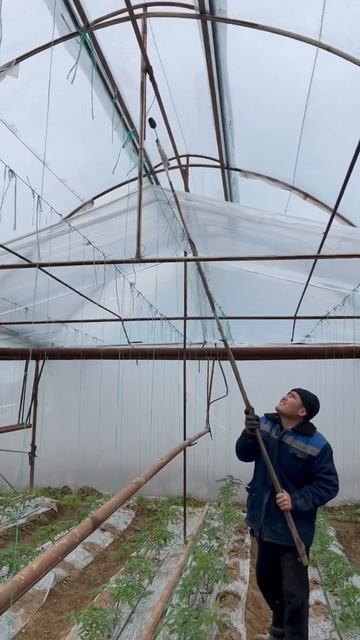 Работа в теплице смотреть онлайн