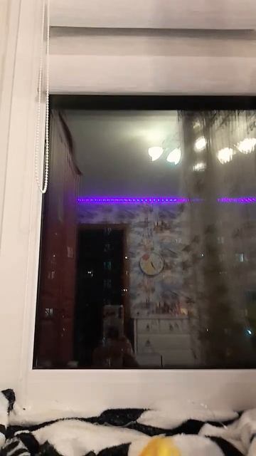 уютное местечко на подоконнике для кошек 🪟😻 смотреть онлайн