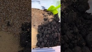 ГРУНТ ДЛЯ ЗЕМЛЯНИКИ