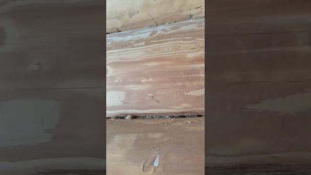 Шлифовка, покраска, герметизация деревянного дома +7(950 смотреть онлайн