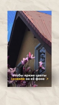 Что делать, если референс скучный, а хочется глубины и выразительности? Подробнее в описании👇🏻