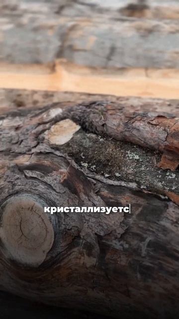 Почему КЕЛО? #баня #стройка #строительство #баняизкело смотреть онлайн