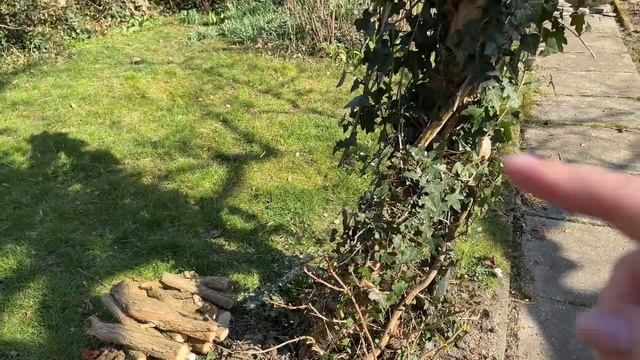 Март на даче в Германии. Начинаем сезон👩🌾🌾 смотреть онлайн