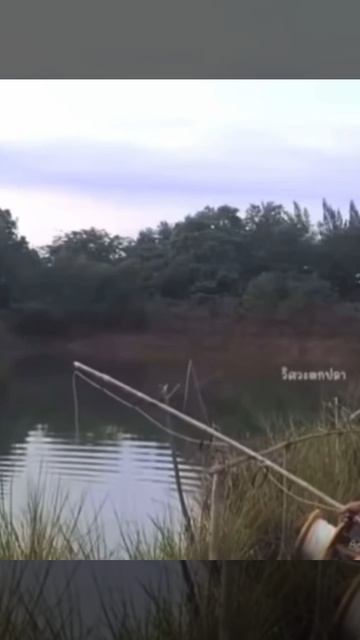 Утренняя рыбалка по простецки.