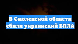 В Смоленской области сбили украинский БПЛА