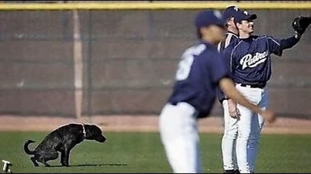 приколы спорта до слез смотреть онлайн
