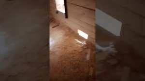 черновой потолок в бане
