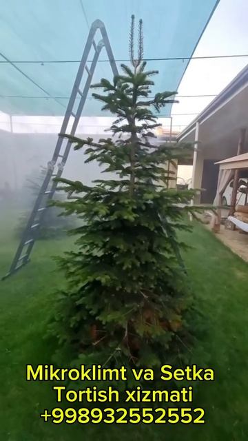 +998932552552 #навес #россия #самарканд #жиза #узбекистан #тош смотреть онлайн