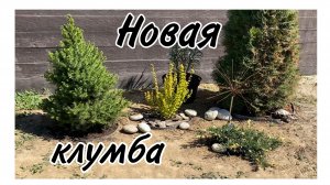 ⚡️Новая клумба🌱Высаживаю петунии