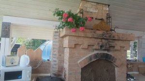 Герань как однолетник на дачном участке,  красиво цветёт и почти не требует ухода