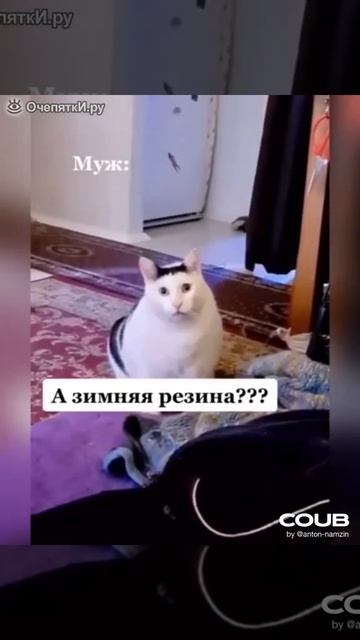 Когда предложила мужу заказать еду на дом смотреть онлайн