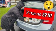 СЕЛЬЧАНКА В АМЕРИКЕ. ОГРОМНЫЕ СКИДКИ В США!!!