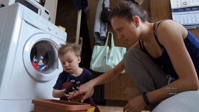 2020 04 22 Посадка лука смотреть онлайн