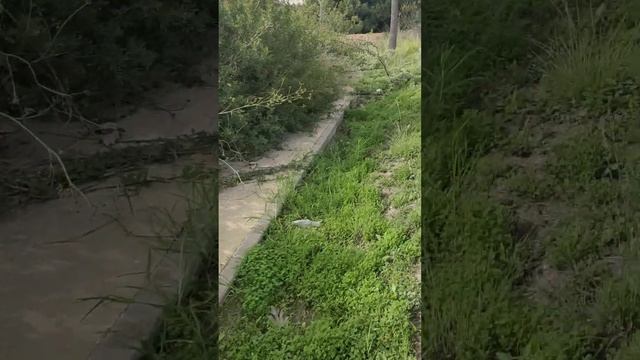 Конец дороги в Эстепона. #испания #эстепона #дорога #за? смотреть онлайн