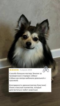 Первые 100 ОТЗЫВОВ на 2Гис 🎉
