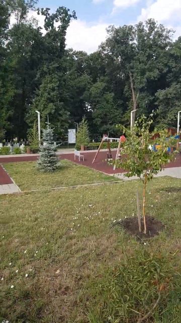Детская площадка в парке Юность. г.Красный Сулин.