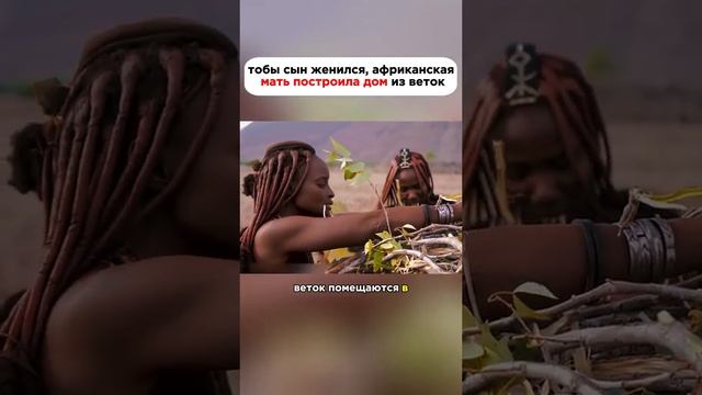 Построил дом из веток и грязи #история #факты #новости # смотреть онлайн