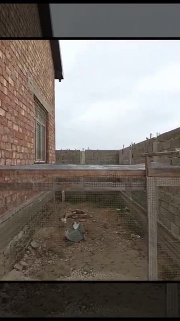 #закрыли курятник сеткой от воробьев!#хватит воровать смотреть онлайн