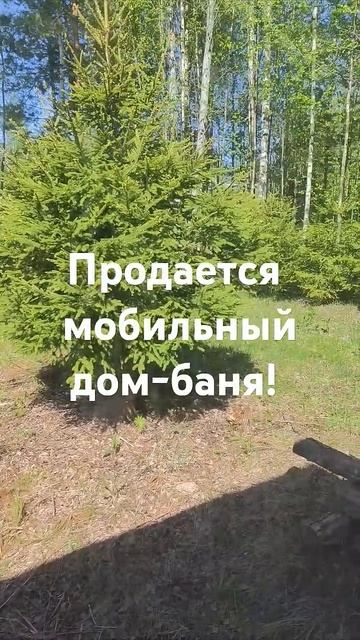 #мобильныйдом #баня #продажа #легкоперевозится #30квм #м