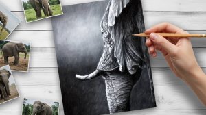 Реалистичный Слон Карандашами ✏️ | Детализированный Чёрно-Белый Рисунок | Арт без слов