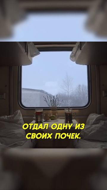 УШЛА ЖЕНА ПОСЛЕ ТОГО КАК ОТДАЛ ЕЙ СВОЮ ПОЧКУ#история #sh смотреть онлайн