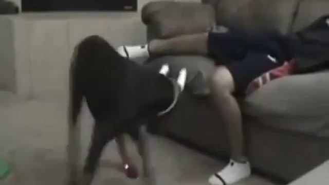 Самое смешное видео Ожидание и реальность! РЖАЧ ДО СЛЕЗ mp4 смотреть онлайн