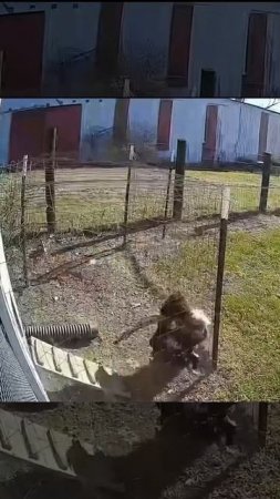 Петя красавчик