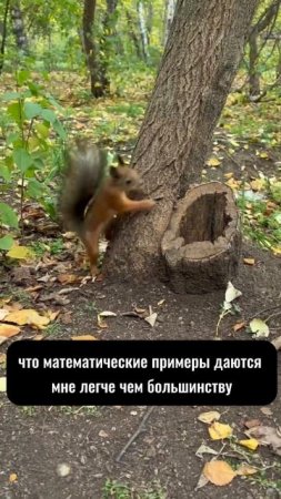 В каждом видео есть много полезного. Подпишись!