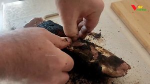 Шашлык из языка, как удалить кожицу с говяжьего языка ?