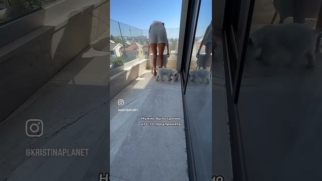 Так выглядит домашний вермикомпостер где живёт семья смотреть онлайн