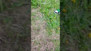 3 часть ЗАБРОШКА