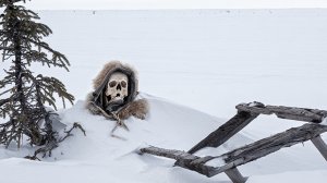 Ночевал в лесу зимой без палатки — что случилось дальше. Реальные истории выживших | Факты