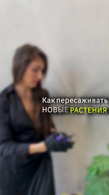 Как пересаживать новые растения #уходзарастениями #оз смотреть онлайн