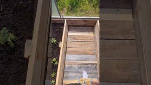 дорожка в теплице моими руками🙃