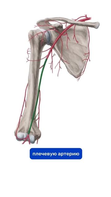 video_2025-05-07_18-12-27