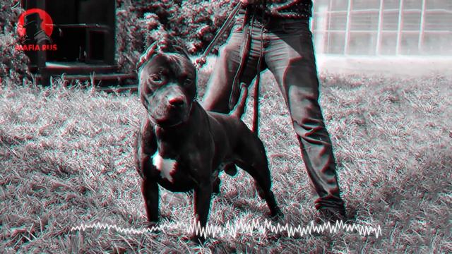 Музыка для пацанов  Музыкальный сборник для пацанов  русский рэп 2022