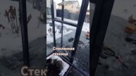 Стеклянная теплица