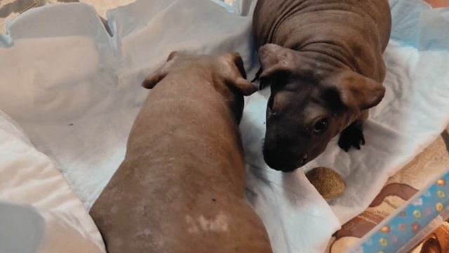 2 декабря 2022 г. смотреть онлайн